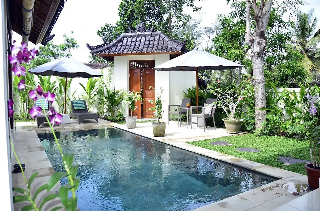 Villa Hijau contacts